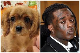 Rapper Lil Uzi Vert's Bizarre Mix-Up: Mistaken Identity as Puppy Thief Sparks Controversy
